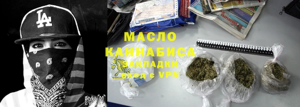 СК Алексин