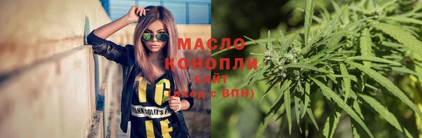 СК Алексин