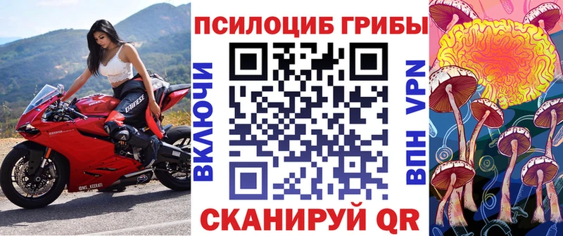 Галлюциногенные грибы Psilocybe кракен онион Жуковка