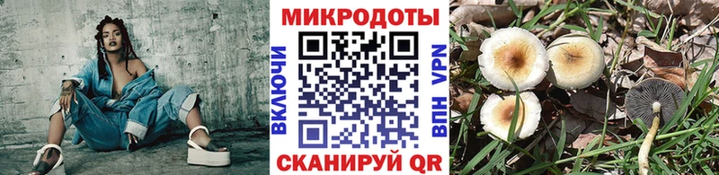 Псилоцибиновые грибы прущие грибы Жуковка